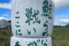 08