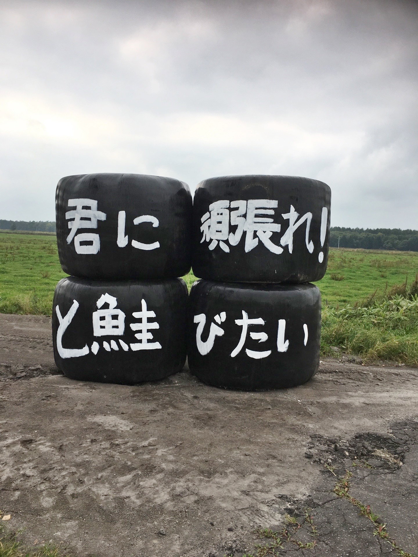 君に頑張れ！と鮭びたい