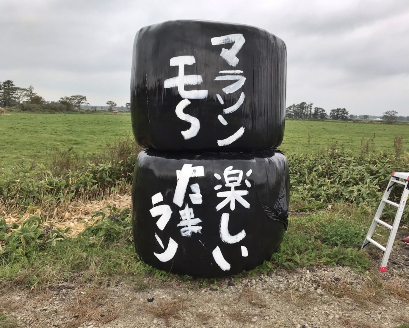 マラソン楽しいモ～たまラン