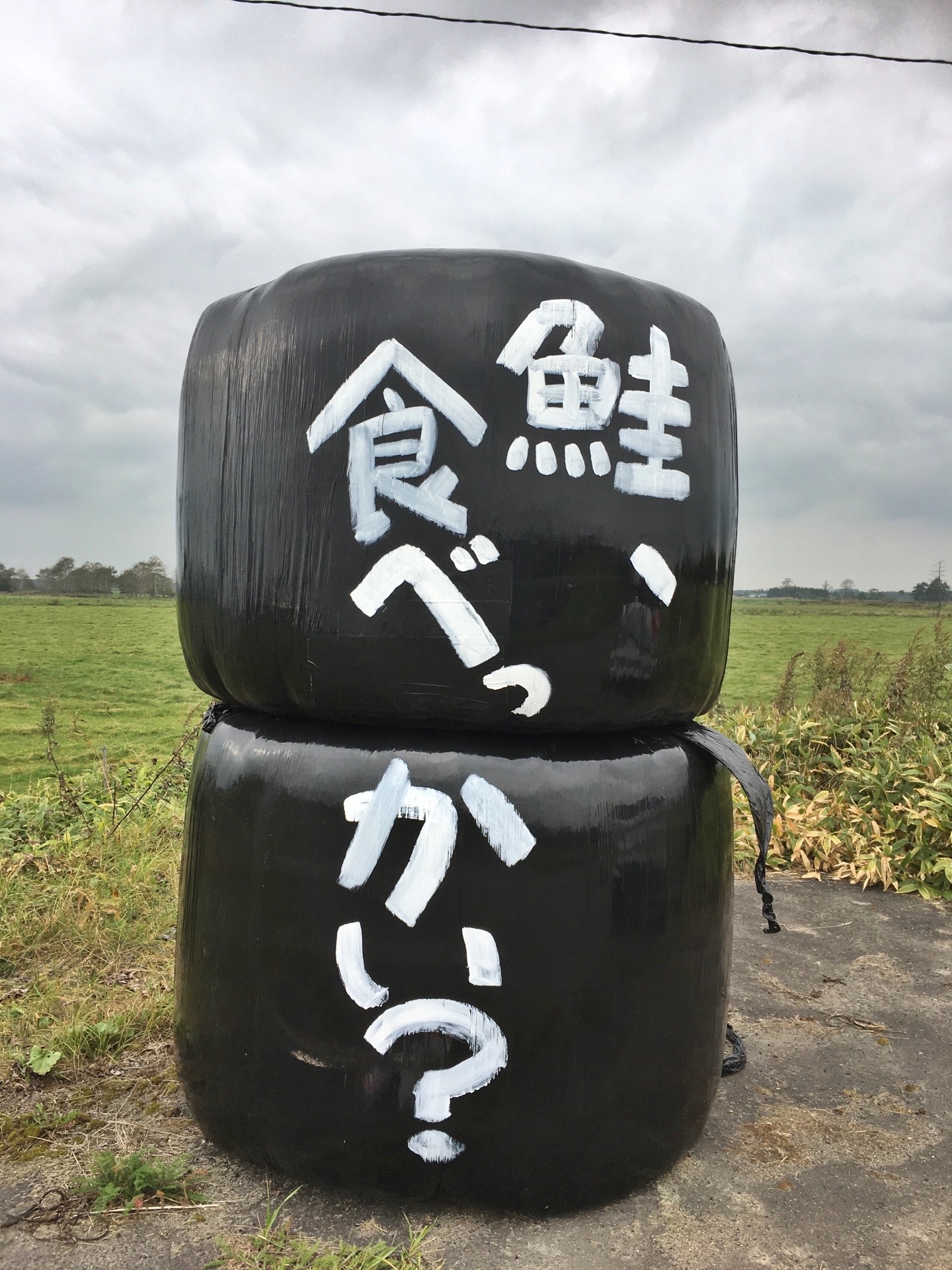 鮭たべっかい？